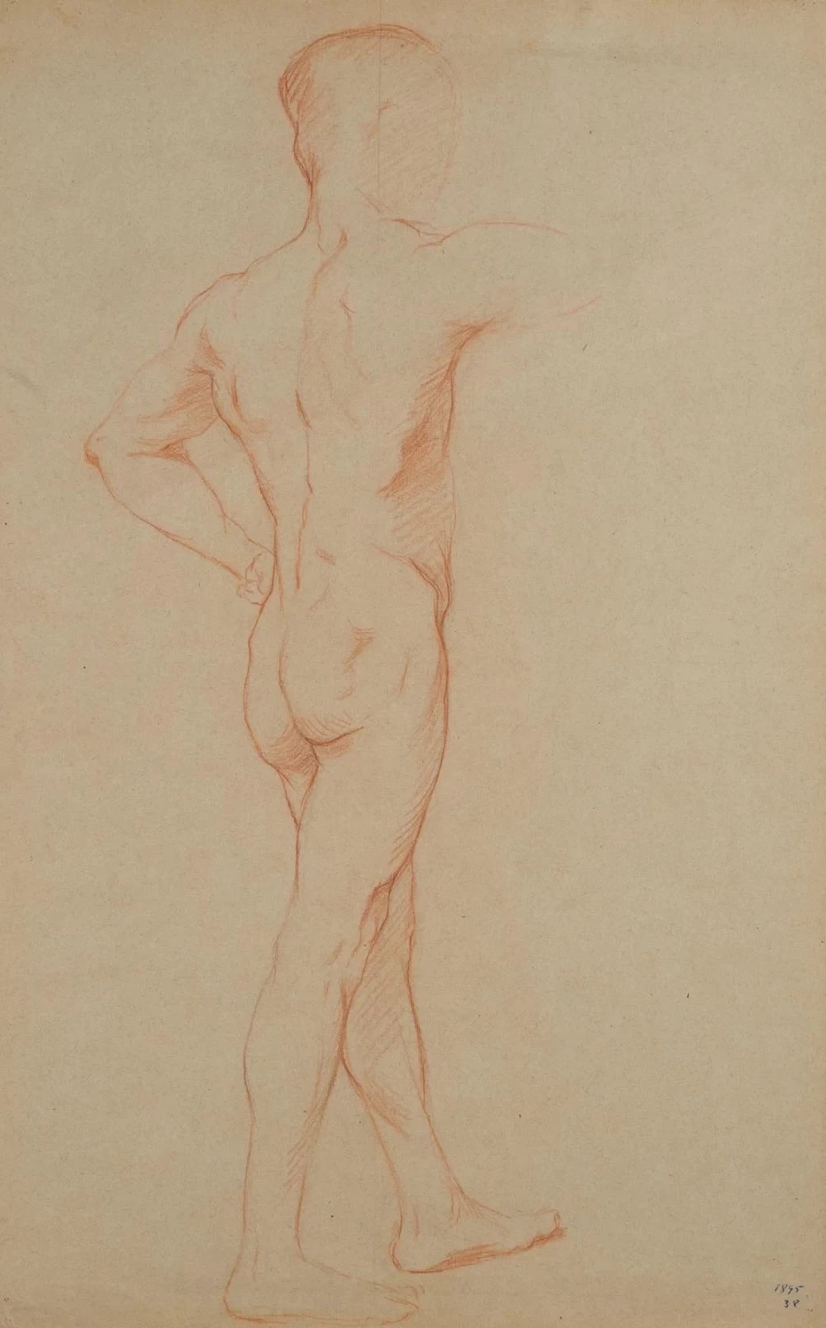 Nudo maschile, studio